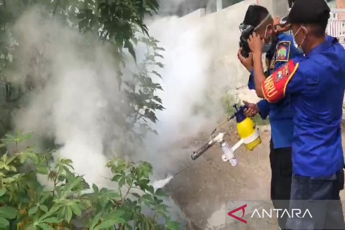 Damkarmat Lamsel lakukan fogging berantas sarang nyamuk