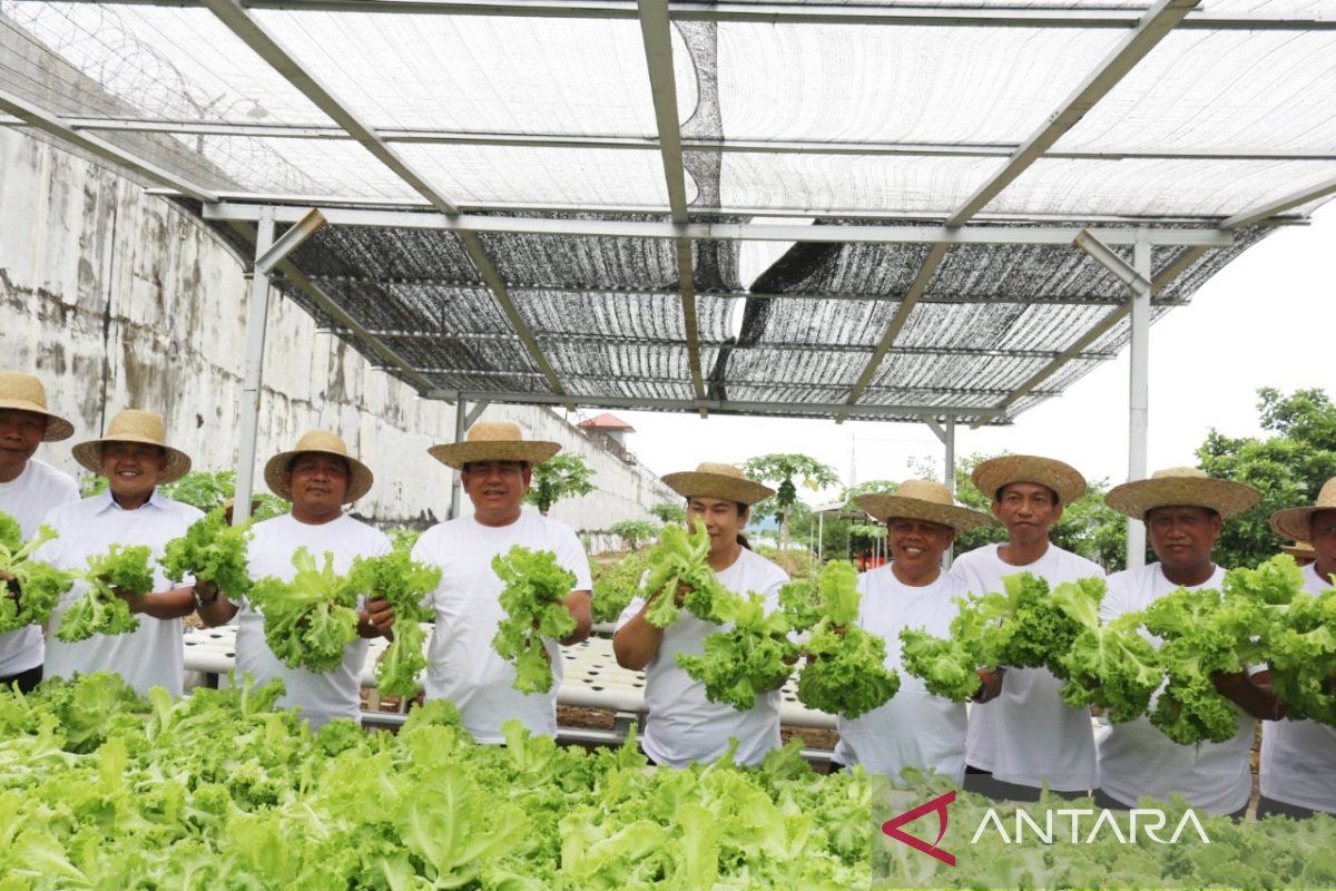 Lapas Banjarbaru panen raya pertanian dari hasil program kemandirian