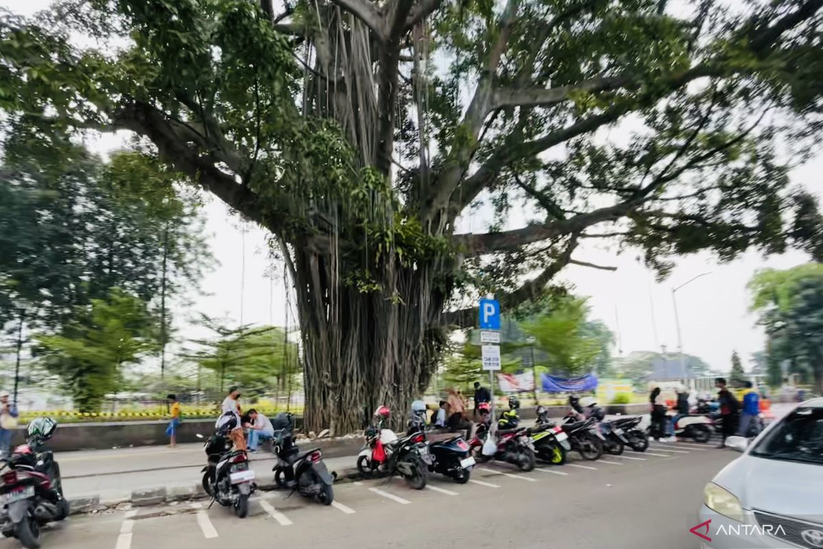 Dishub Kota Bogor sedang lakukan penataan parkir di Alun-Alun