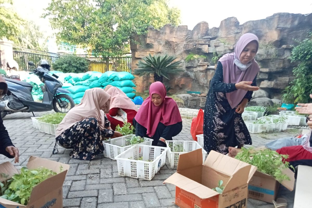 Dorong penggunaan pekarangan warga, DKPP Bojonegoro salurkan bibit sayur