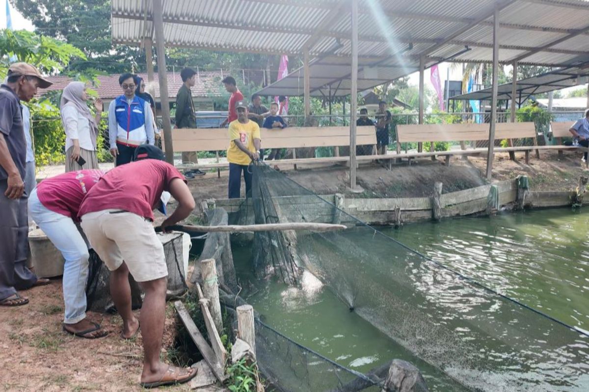 Pertamina bantu tingkatkan ekonomi kelompok lansia di Jambi