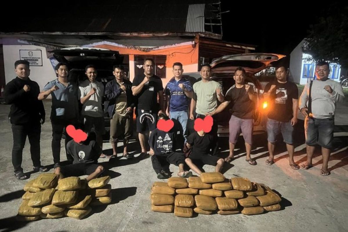 Polda Sumbar gagalkan penyelundupan 55 kilogram ganja