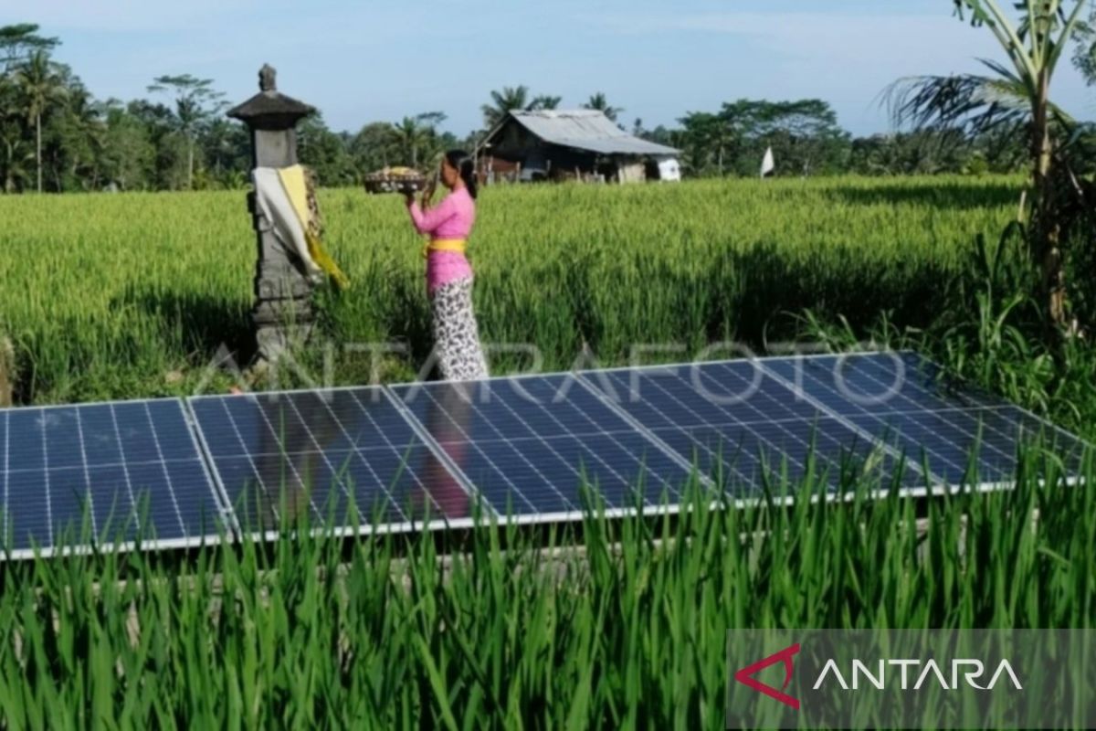 Pertanian karbon dan mitigasi bagi perubahan iklim