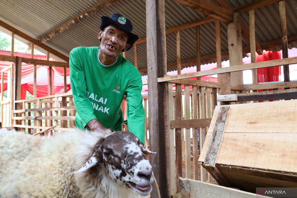 Program Balai Ternak Baznas tingkatkan ekonomi peternak di Banyumas