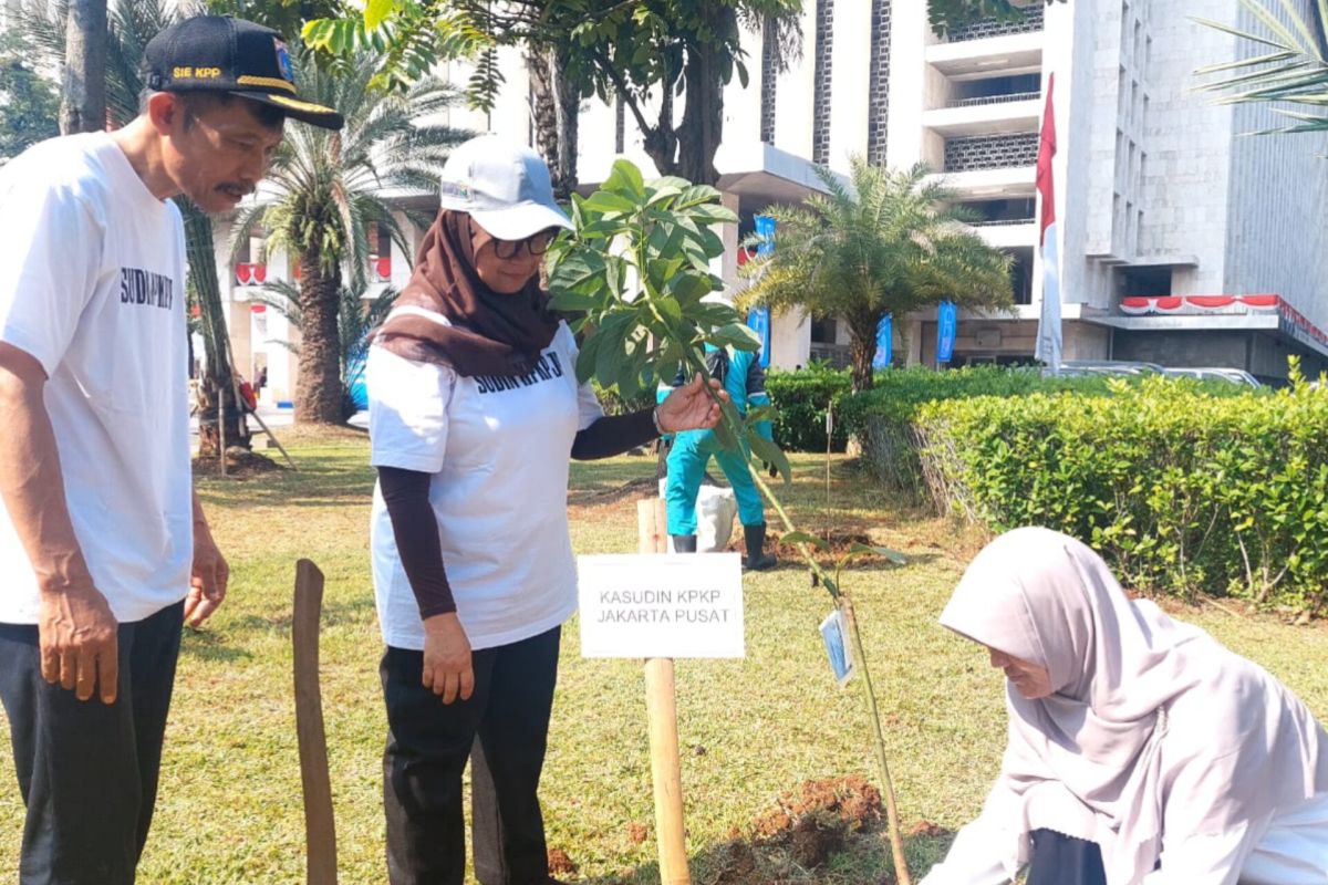 DKI tanam bibit alpukat di Kawasan Masjid Istiqlal guna kurangi polusi