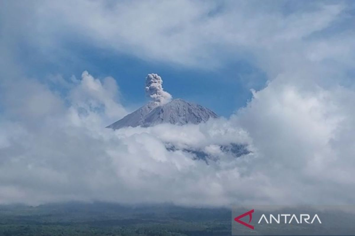 Gunung Semeru beberapa kali erupsi dengan amplitudo hingga 23 mm