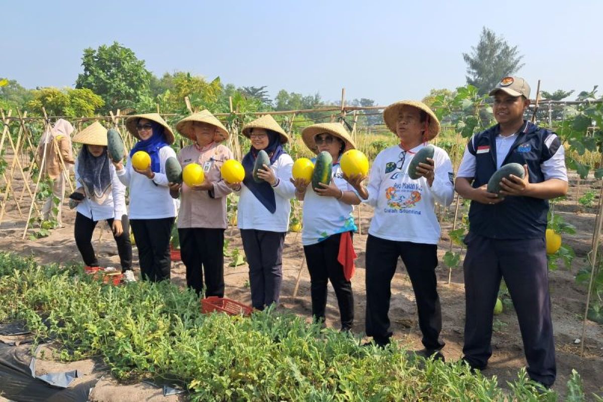 Kepulauan Seribu ajak warga budidayakan tanaman pangan