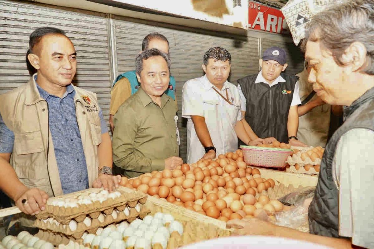 Harga Cabai secara nasional Rp69.990 per kg dan telur Rp30.250 per kg