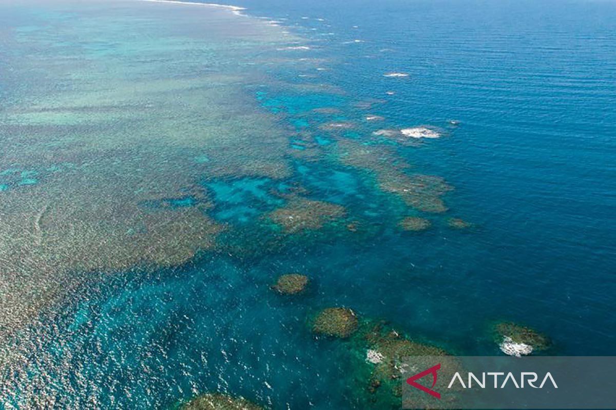 Suhu laut tertinggi dalam 400 tahun terakhir ancam  Great Barrier Reef