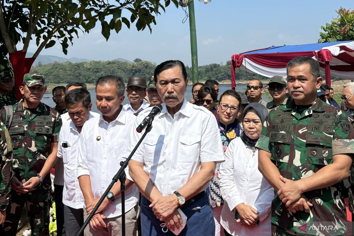 Luhut: Airlangga mundur itu hak dia