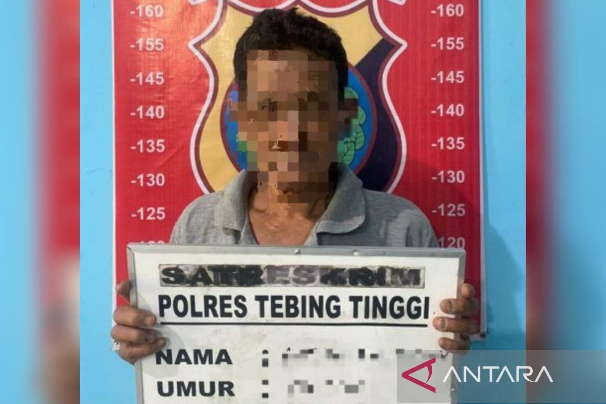 Polisi tangkap terduga pelaku pembacokan IRT di Sumut