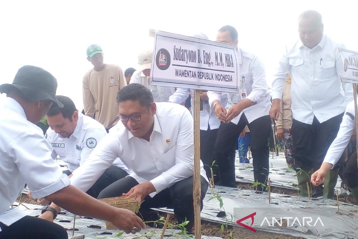 Wamentan: Desa di  Deli Serdang jadi contoh pertanian di Sumut