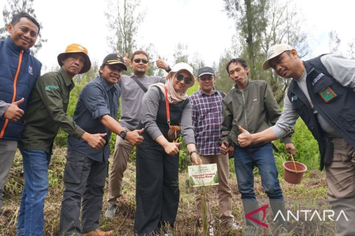 Pertamina Patra Niaga Jatimbalinus tanam seribu pohon cemara di Ijen