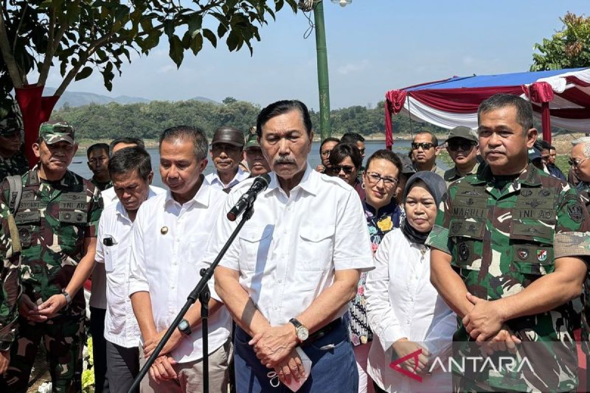 Luhut: Airlangga mundur hak yang bersangkutan