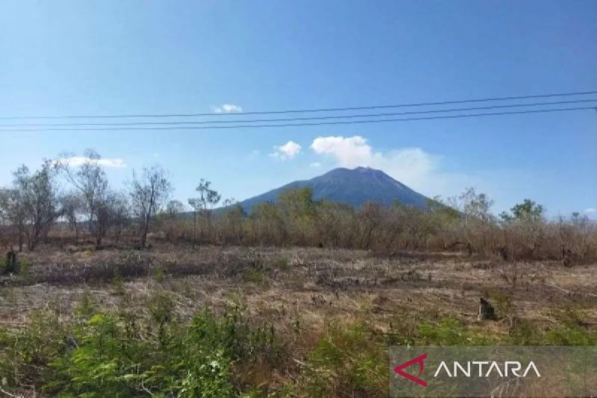 BPBD Lembata imbau warga waspadai kebakaran hutan dan lahan