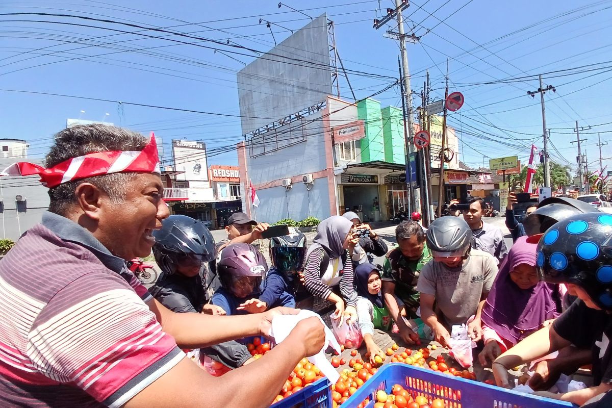 Petani Jember bagikan tomat gratis saat harga anjlok