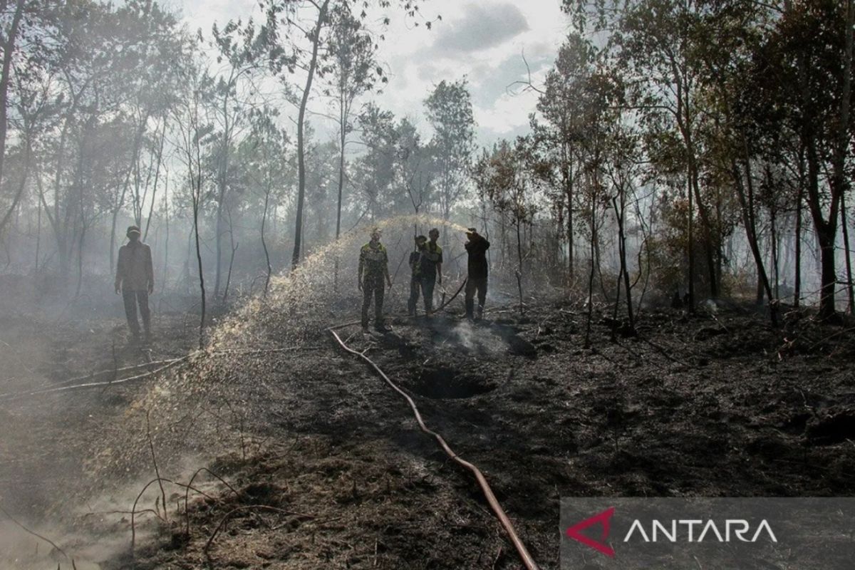 Forest fire handling operation in six provinces active until Nov: BNPB