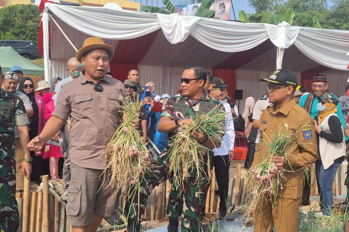 Pangdam Jaya lakukan panen bawang merah di Depok