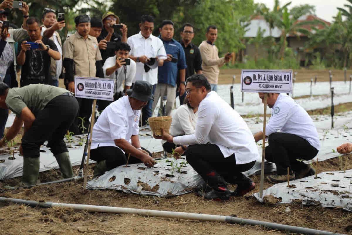 Wamentan minta lahan tidur dioptimalkan untuk produktivitas pertanian