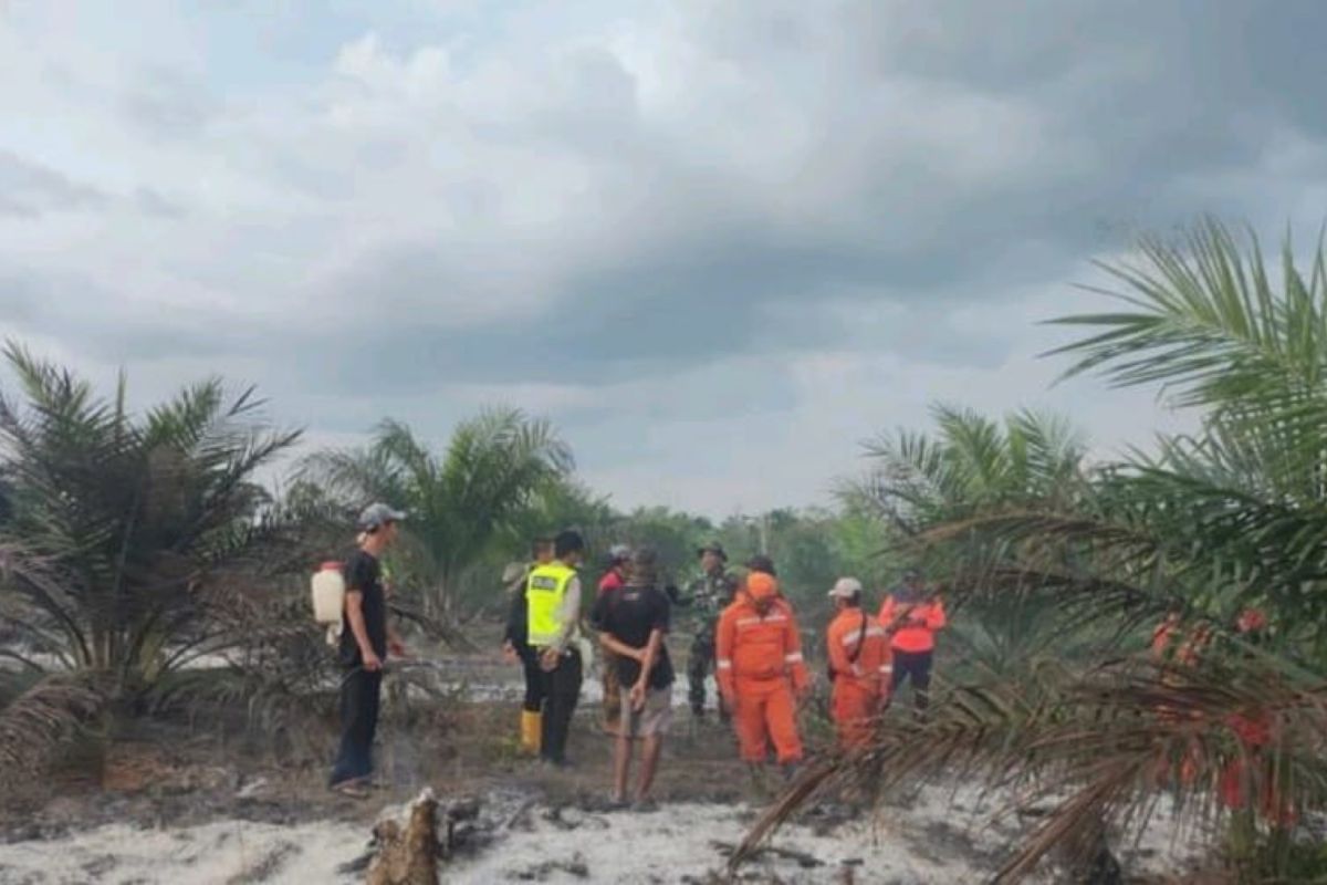 Gerak cepat Tim Gabungan, Karhutla di tiga daerah di Sumsel  dipadamkan