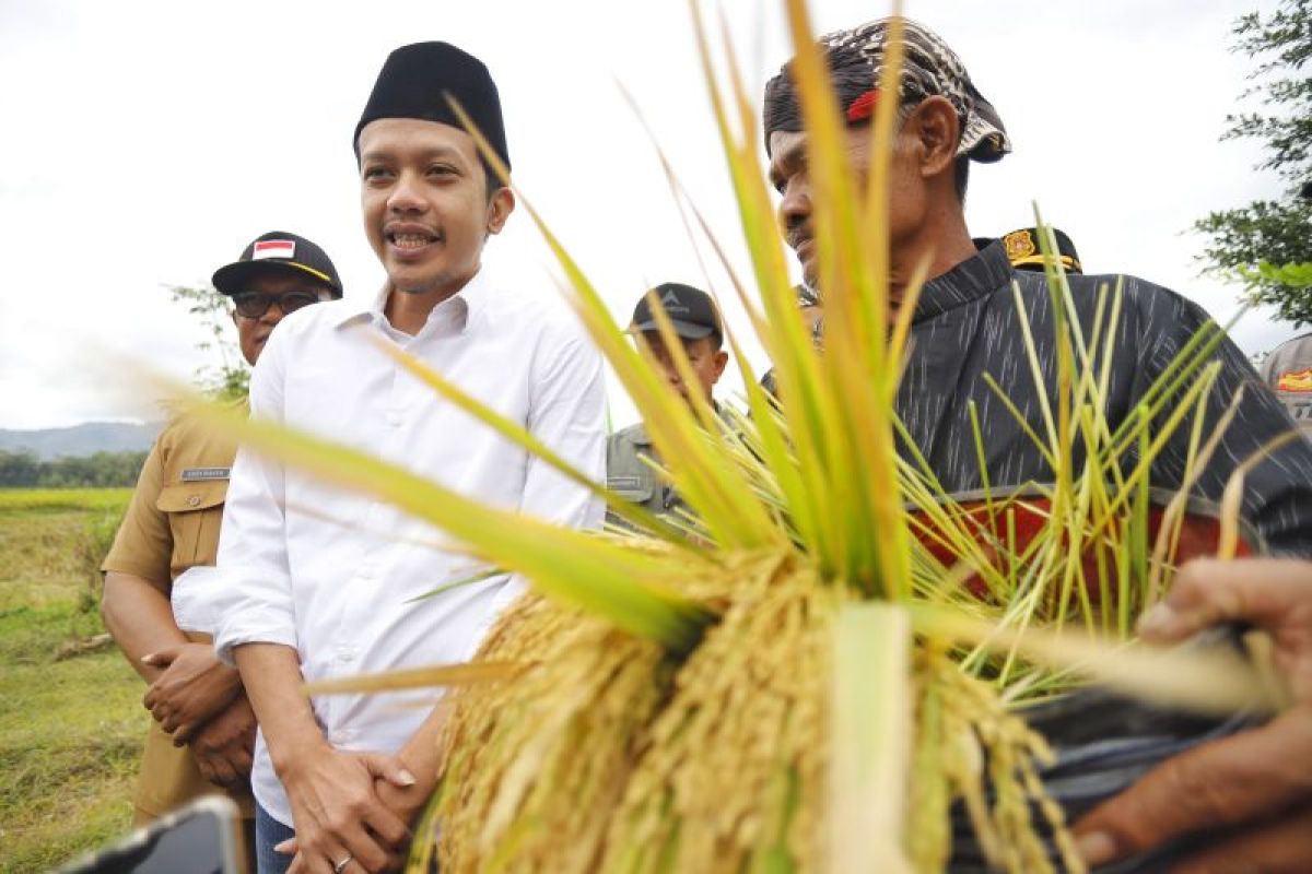 Pemkab Trenggalek dorong petani hasilkan padi sehat