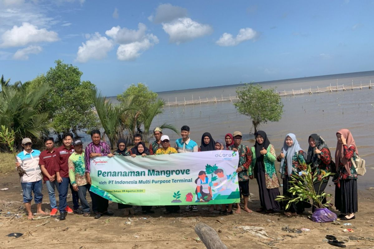 Adaro Logistic tanam ribuan pohon Bakau di kawasan mangrove Kurau