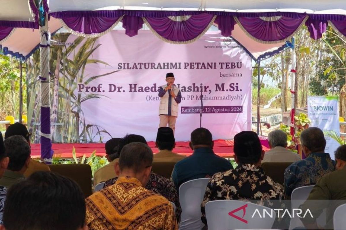 Muhammadiyah kembangkan riset varietas tebu untuk lahan eks tambang