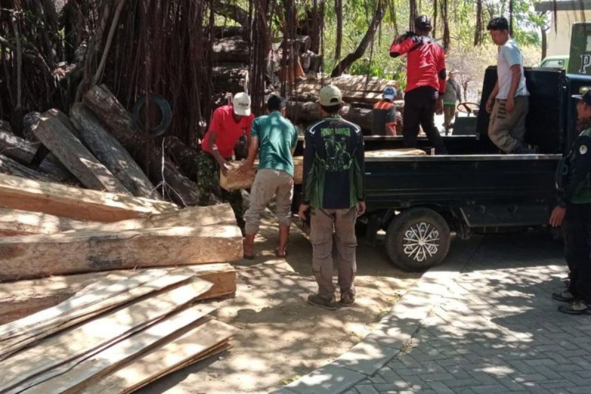 KLHK amankan pelaku pengolah kayu hasil pembalakan liar di TN Baluran