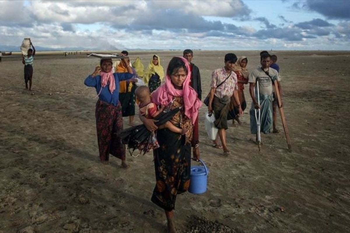 Serangan drone paksa 200 etnis Rohingya jauhi perbatasan Bangladesh