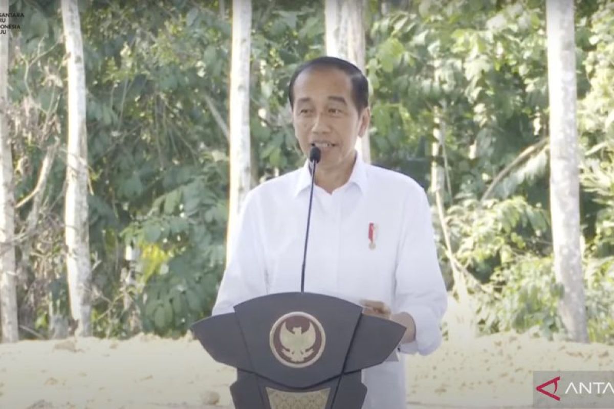 Presiden Jokowi akui potong jumlah undangan HUT RI di IKN karena kurang hotel