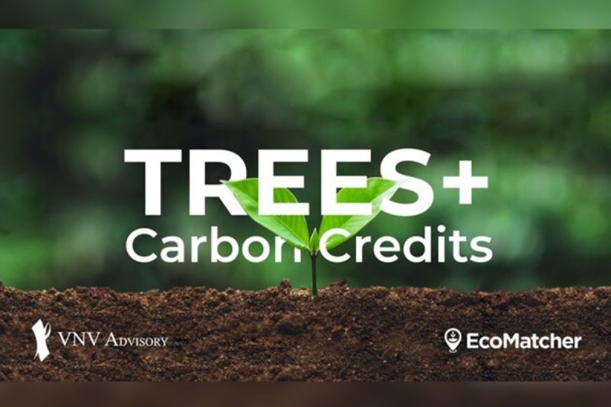 EcoMatcher and VNV Advisory Announce Strategic Partnership to Launch TREES+