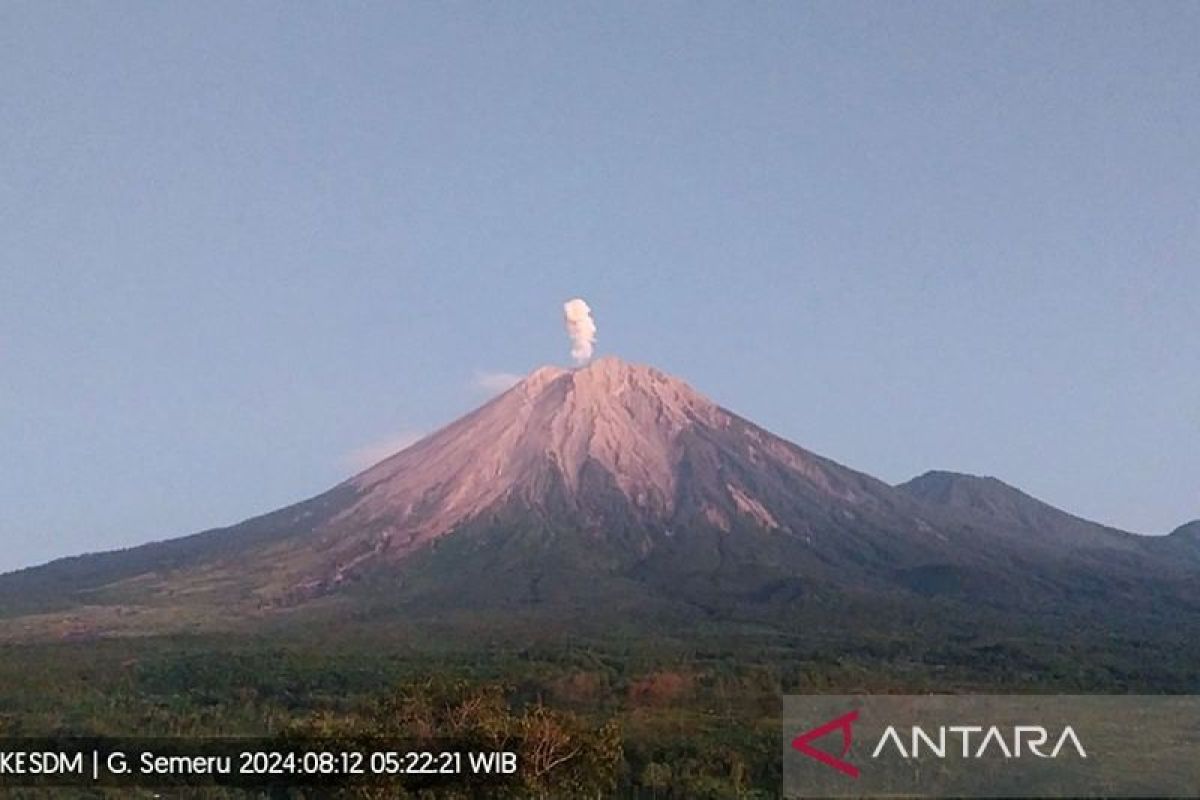 Gunung Semeru erupsi lontarkan abu vulkanik setinggi 800 meter