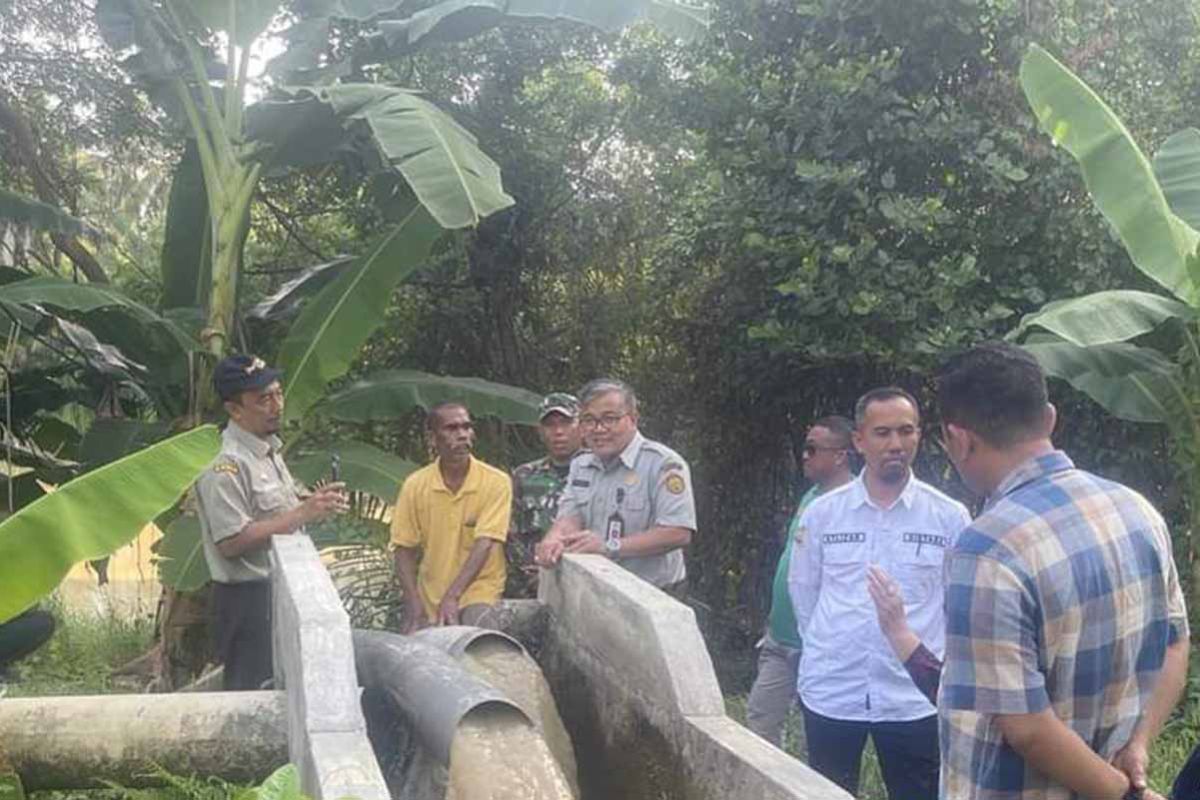 Pemkab Aceh Timur optimasi lahan tingkat produksi gabah