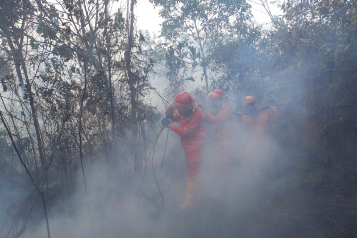 Dua helikopter pembom air dikerahkan padamkan karhutla di OKI