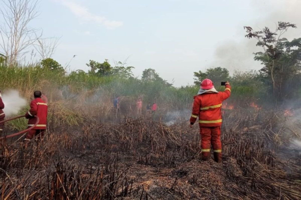 Damkar Jambi turunkan 12 armada padamkan 3,5 ha lahan terbakar 