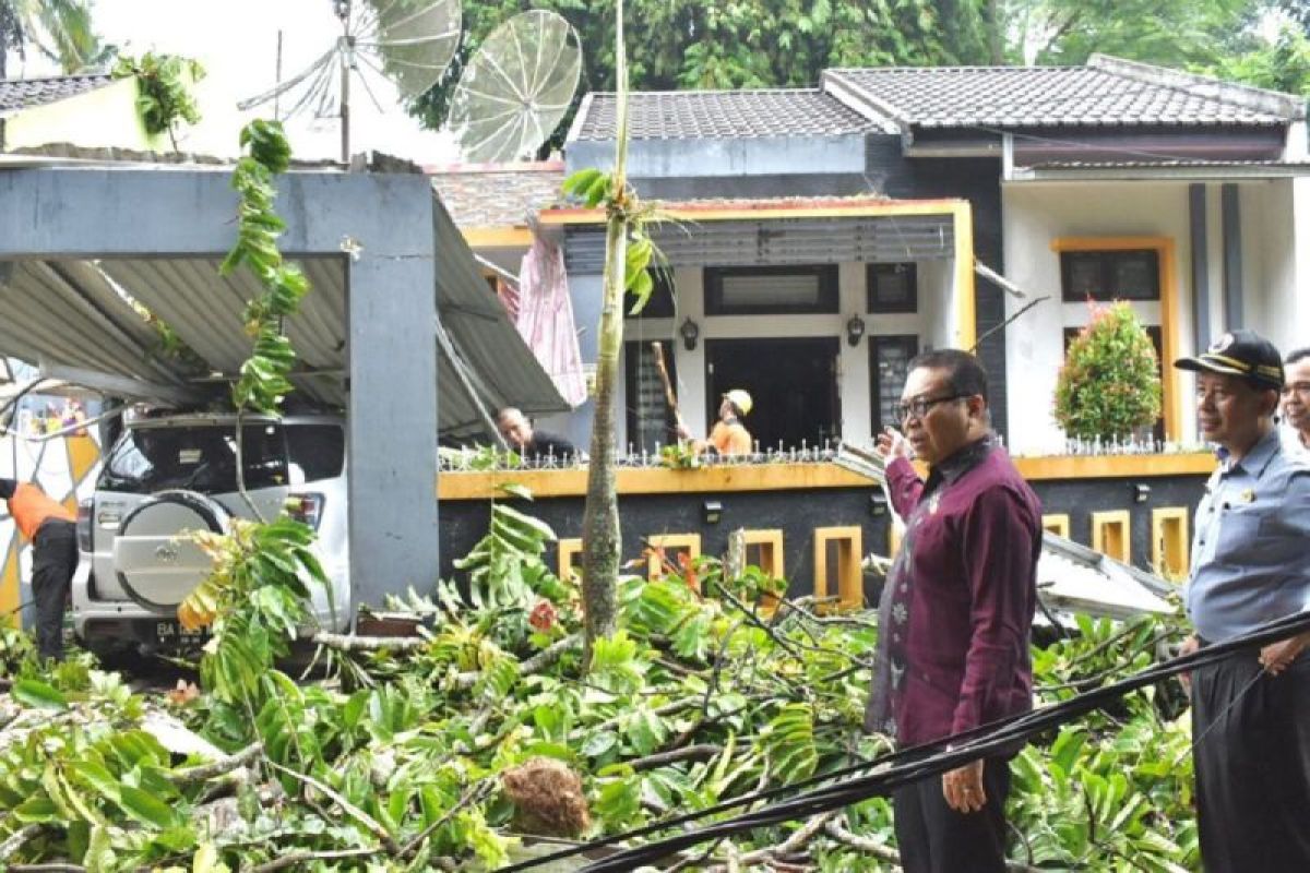 PJ Walikota tinjau lokasi pohon tumbang