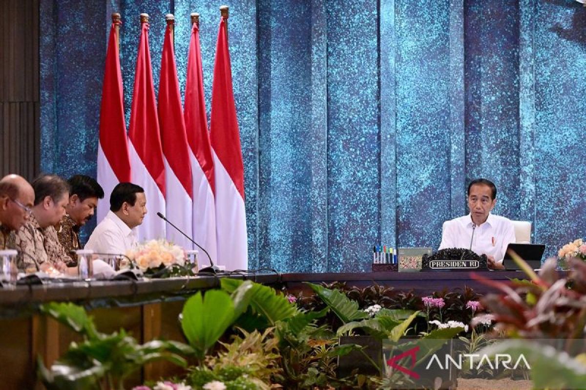 Presiden Jokowi ungkap kemungkinan reshuffle