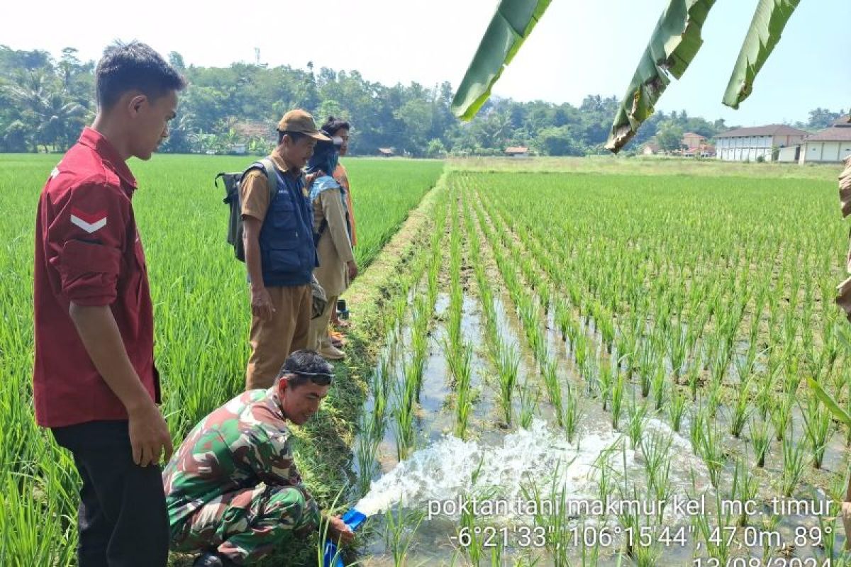 Cegah gagal panen, Brigade Distan Lebak pasang pompa air