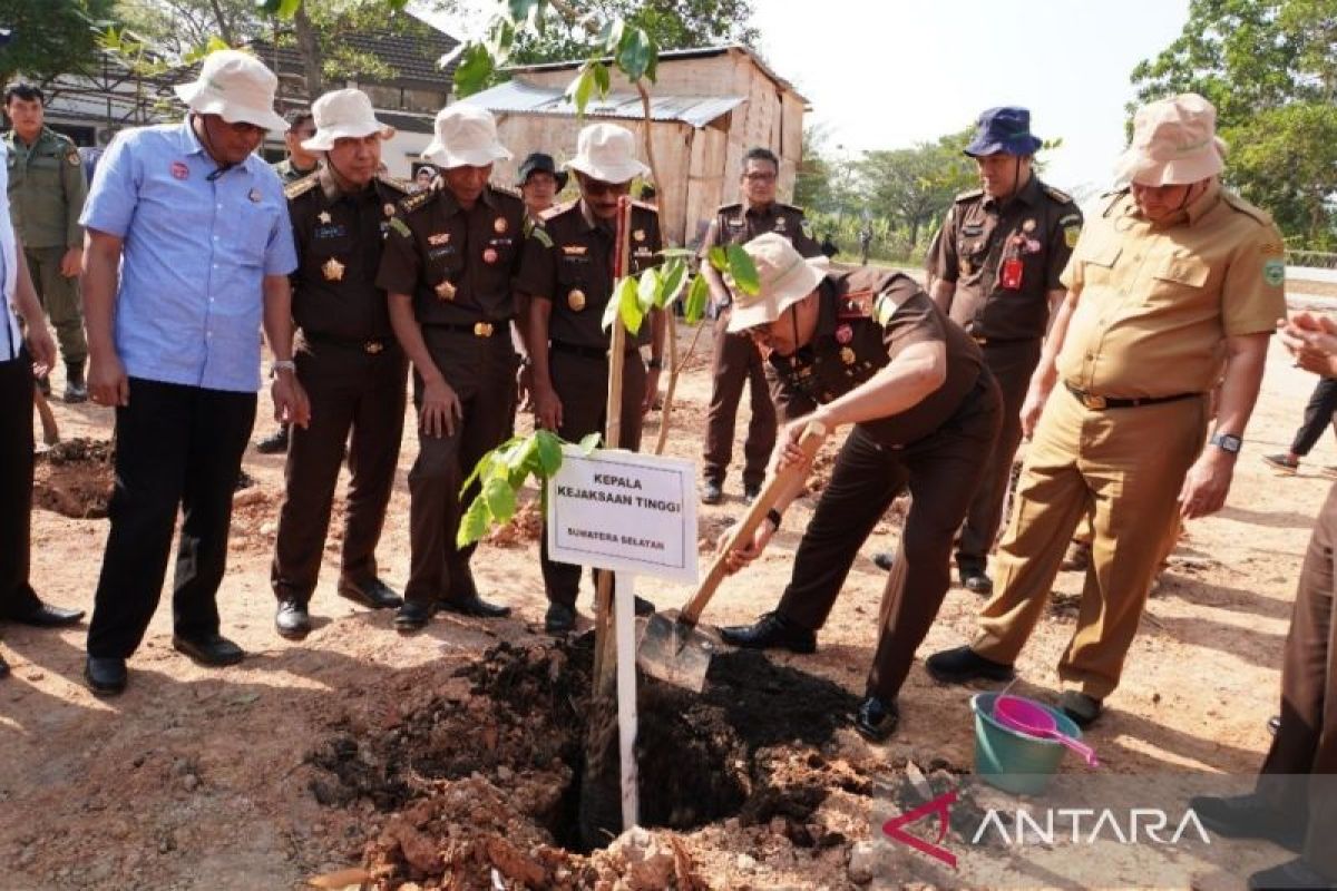 Kejati Sumsel tanam 250 pohon damar dan  merbau sambut HUT RI