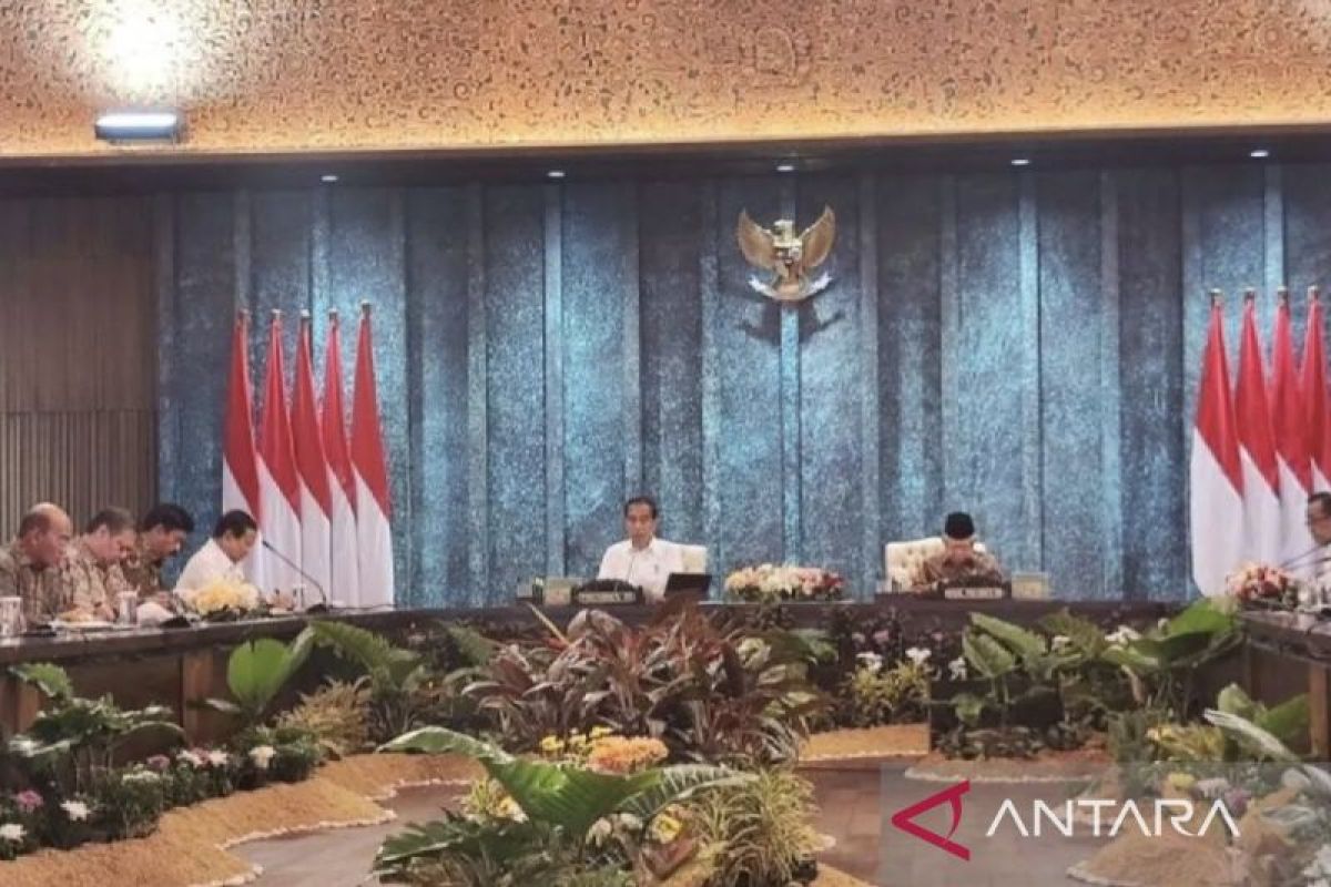 Widodo asks regional govts to start developing public transport