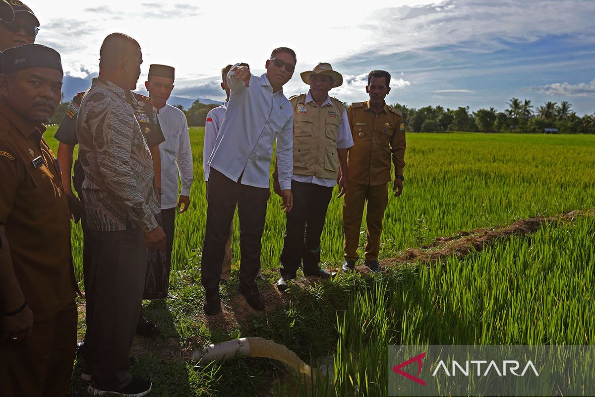 FOTO - Wamentan tinjau perluasan areal sawah di Aceh Besar