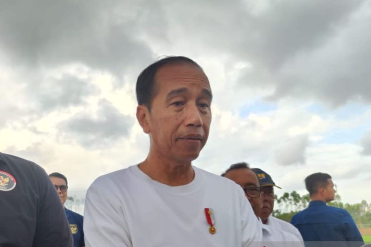 Jokowi sebut posisi Airlangga di kabinet tidak ada masalah