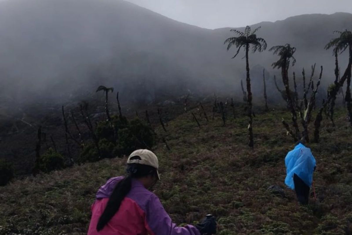 Kuota pendakian Gunung Binaiya penuh jelang hari kemerdekaan RI, TNM tutup pendaftaran sementara