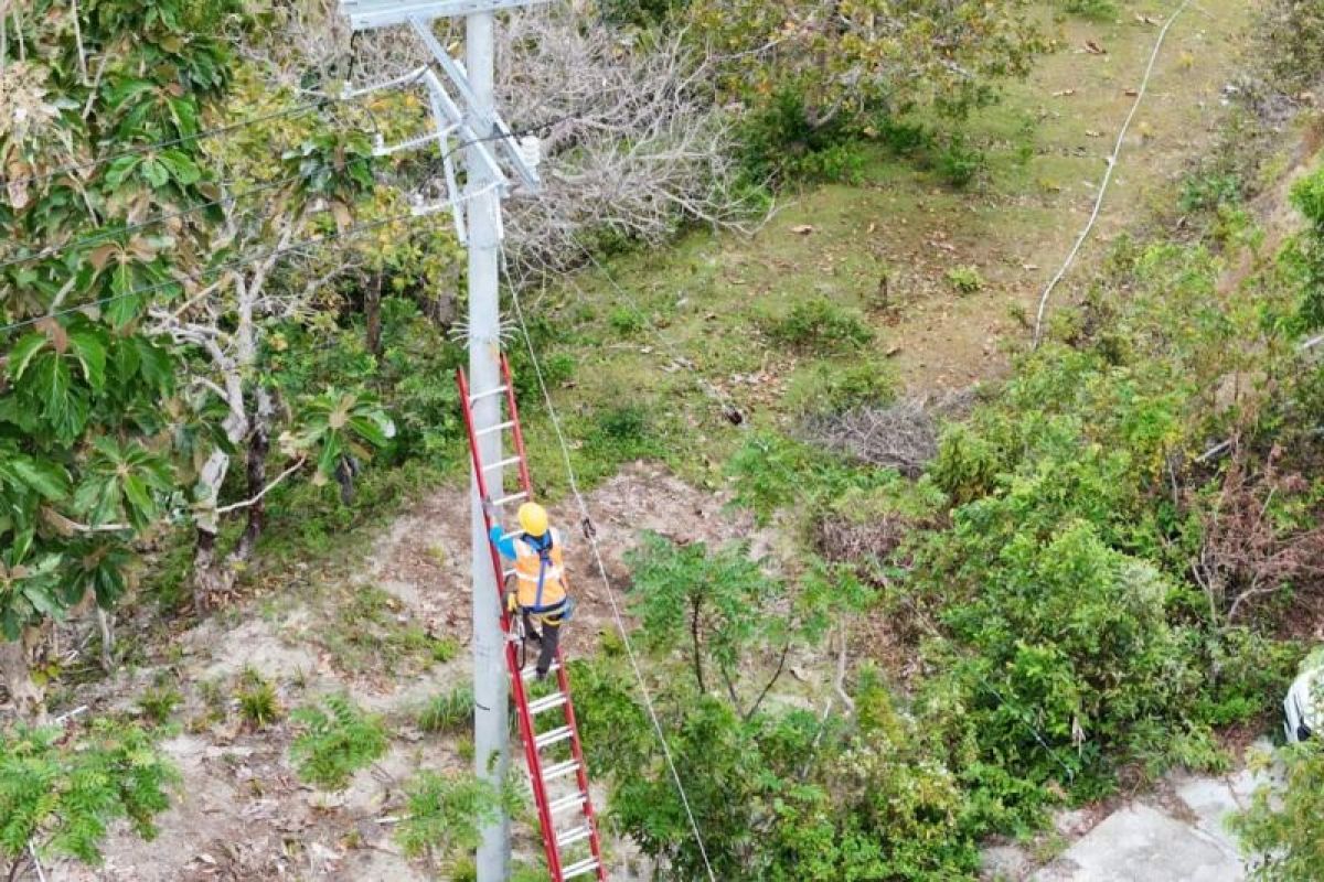 PLN terangi 34 dusun terpencil di Sulbar menjelang HUT RI