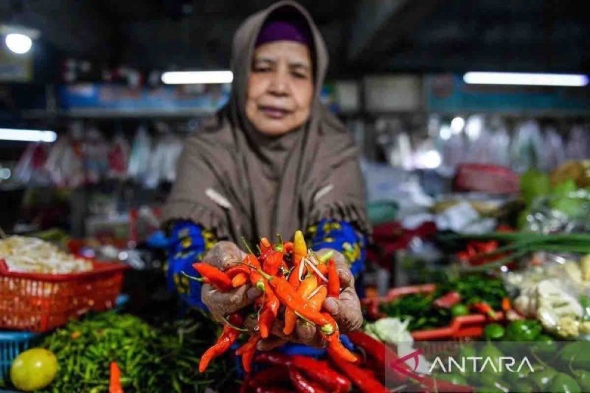 Harga cabai rawit merah turun jadi Rp65.310 per kg