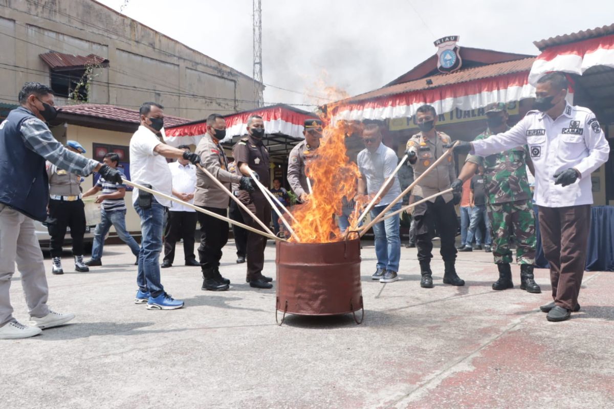 Polres Siak musnahkan tujuh kg ganja kering dengan dibakar