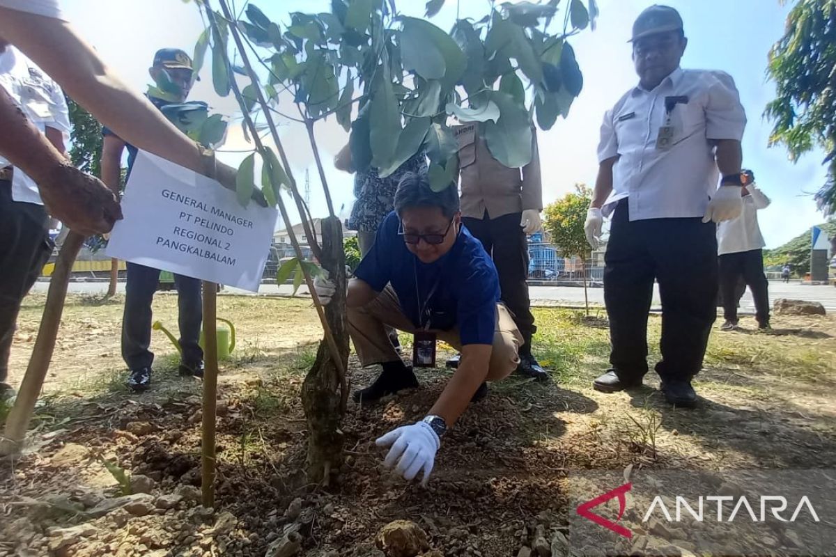 Pelindo Pangkalbalam tanam pohon sambut HUT Ke-79 RI