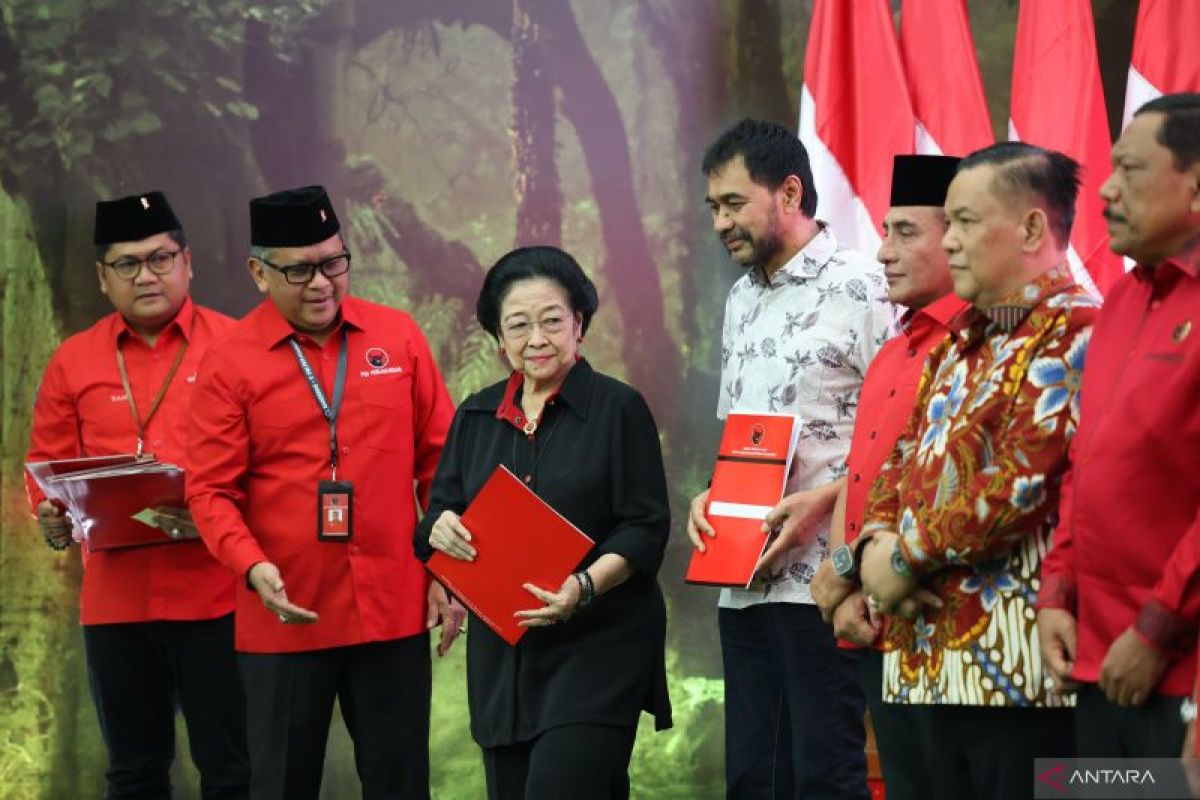 Ini sosok yang didukung PDIP pada Pilkada serentak kabupaten dan kota di Sumatera Utara