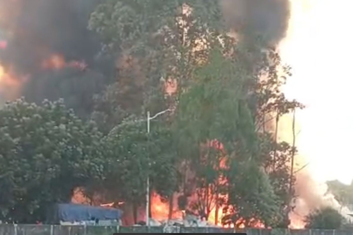 Ratusan petak rumah semi permanen terbakar di Penjaringan Jakarta