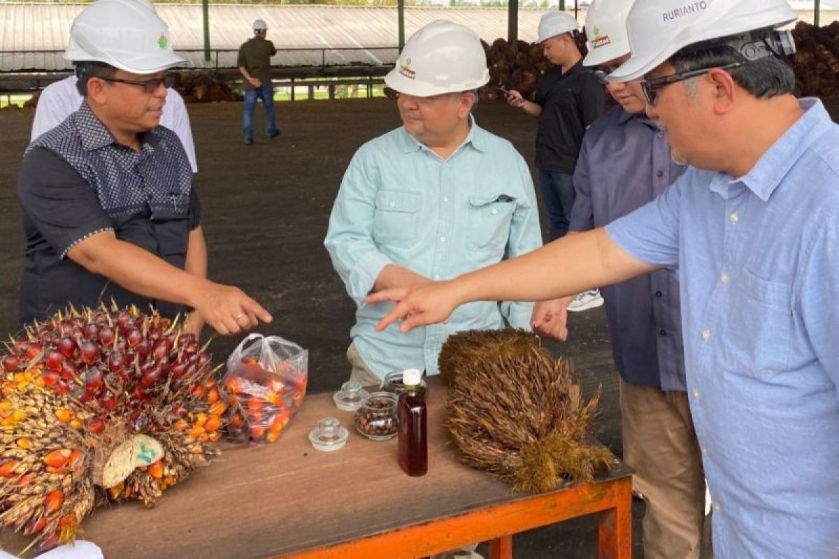 Kemenko perekonomian kagumi pendekatan sirkular ekonomi PTPN IV Regional III